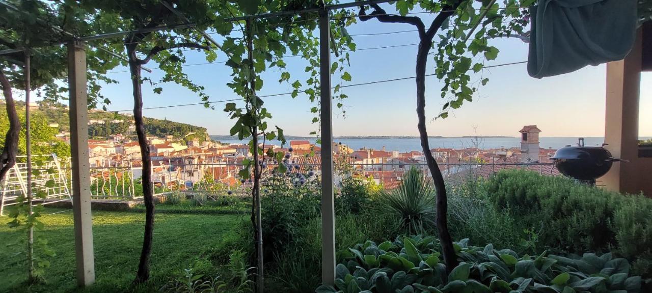 Holiday Home Amazing View ピラン エクステリア 写真
